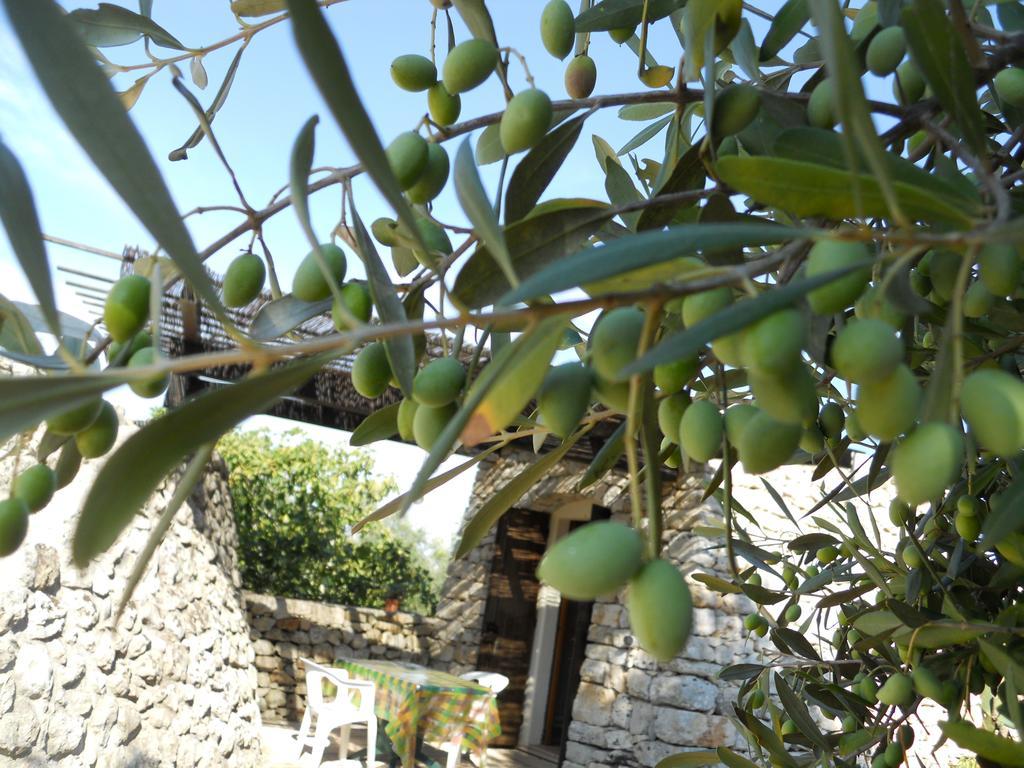 Agriturismo Specchiarussa 모르치아노 디 루카 객실 사진