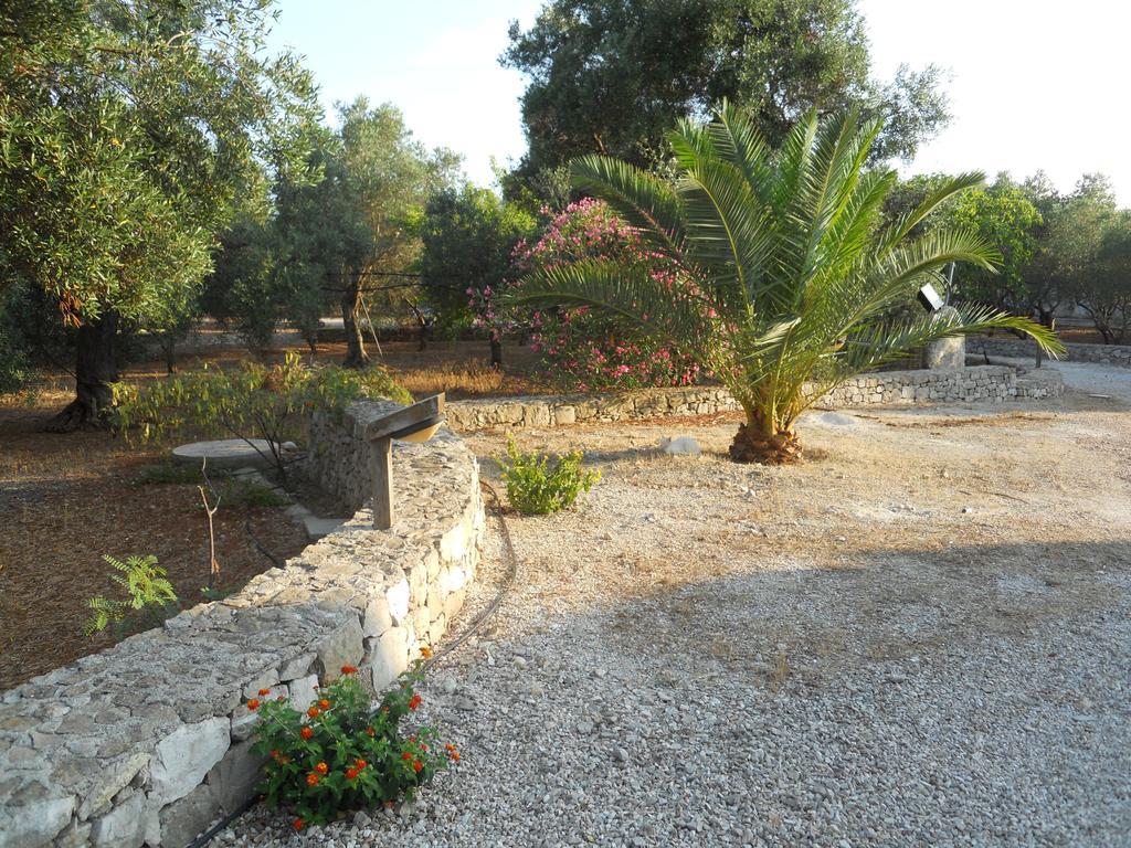 Agriturismo Specchiarussa 모르치아노 디 루카 객실 사진