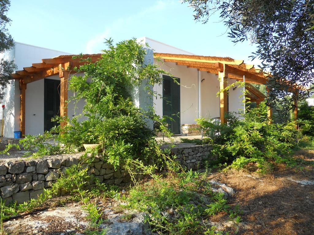 Agriturismo Specchiarussa 모르치아노 디 루카 외부 사진