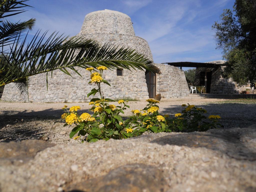 Agriturismo Specchiarussa 모르치아노 디 루카 객실 사진